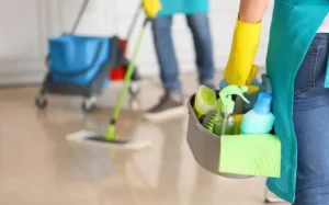 شركات تنظيف المنازل في المعادي.