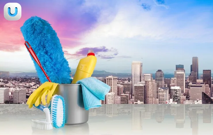 شركة تنظيف في هليوبوليس